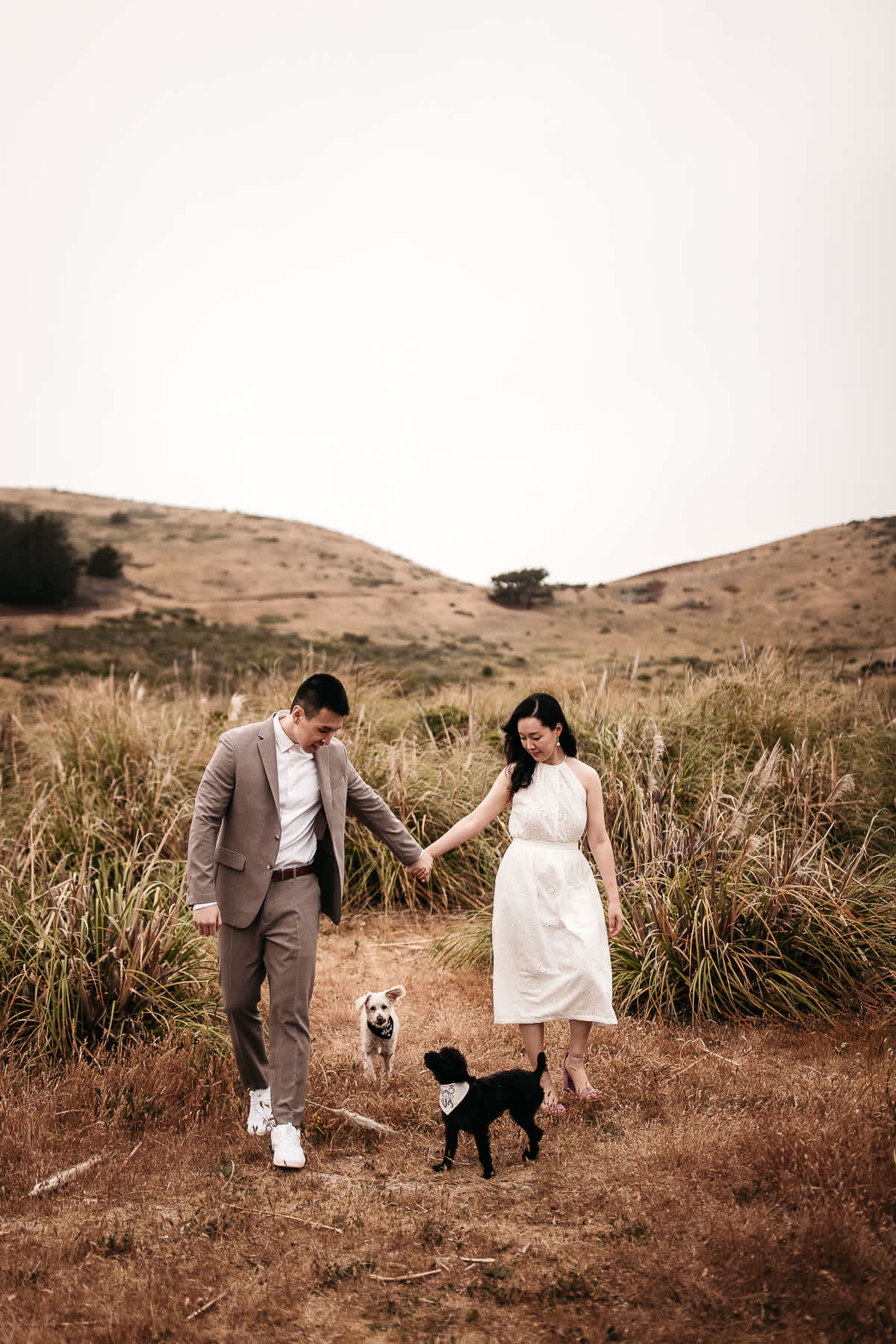 redwoods-coastal-pampas-grass-lifestyle-engagement-session-with-pups-31