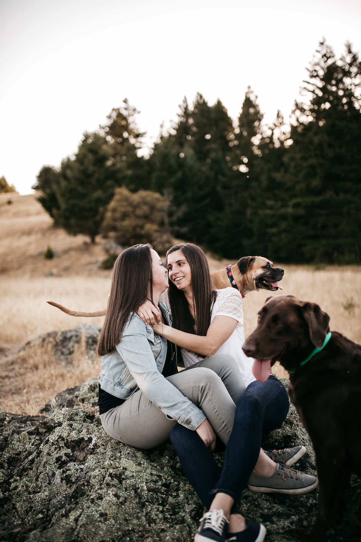 mt-tam-sunset-engagement-session-with-boxer-lab-dogs-29