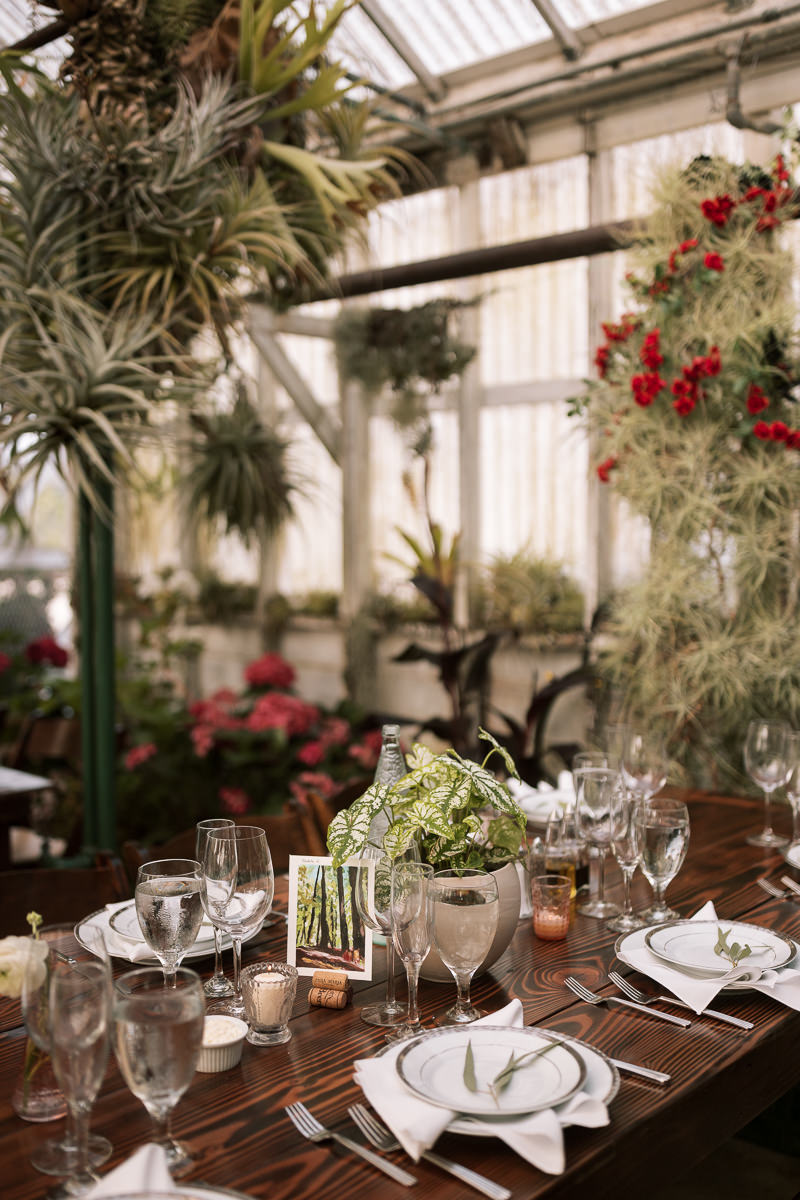 Pacifica-shelldance-orchid-gardens-summer-wedding-117