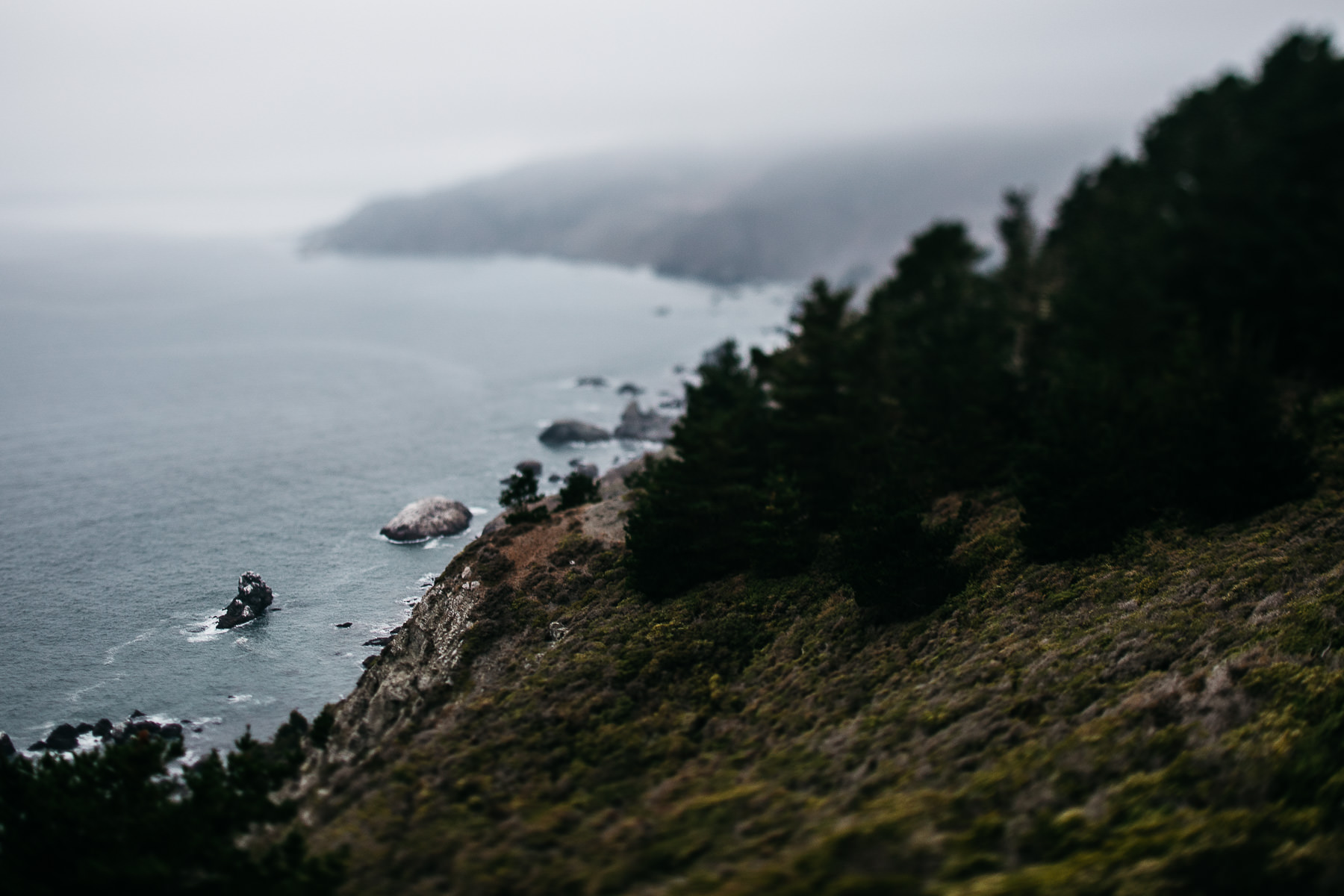 muir-beach-pelican-inn-foggy-wedding-99