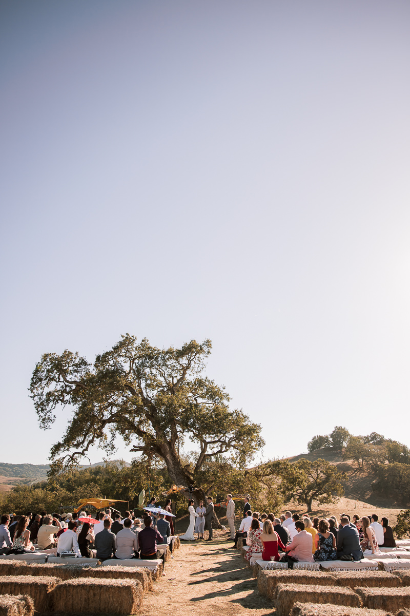 Monkey-ranch-petaluma-golden-hills-wedding-64