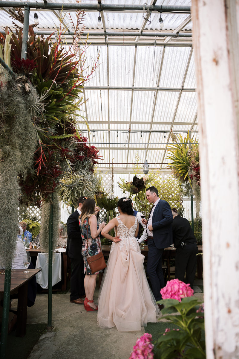 Pacifica-shelldance-orchid-gardens-summer-wedding-136