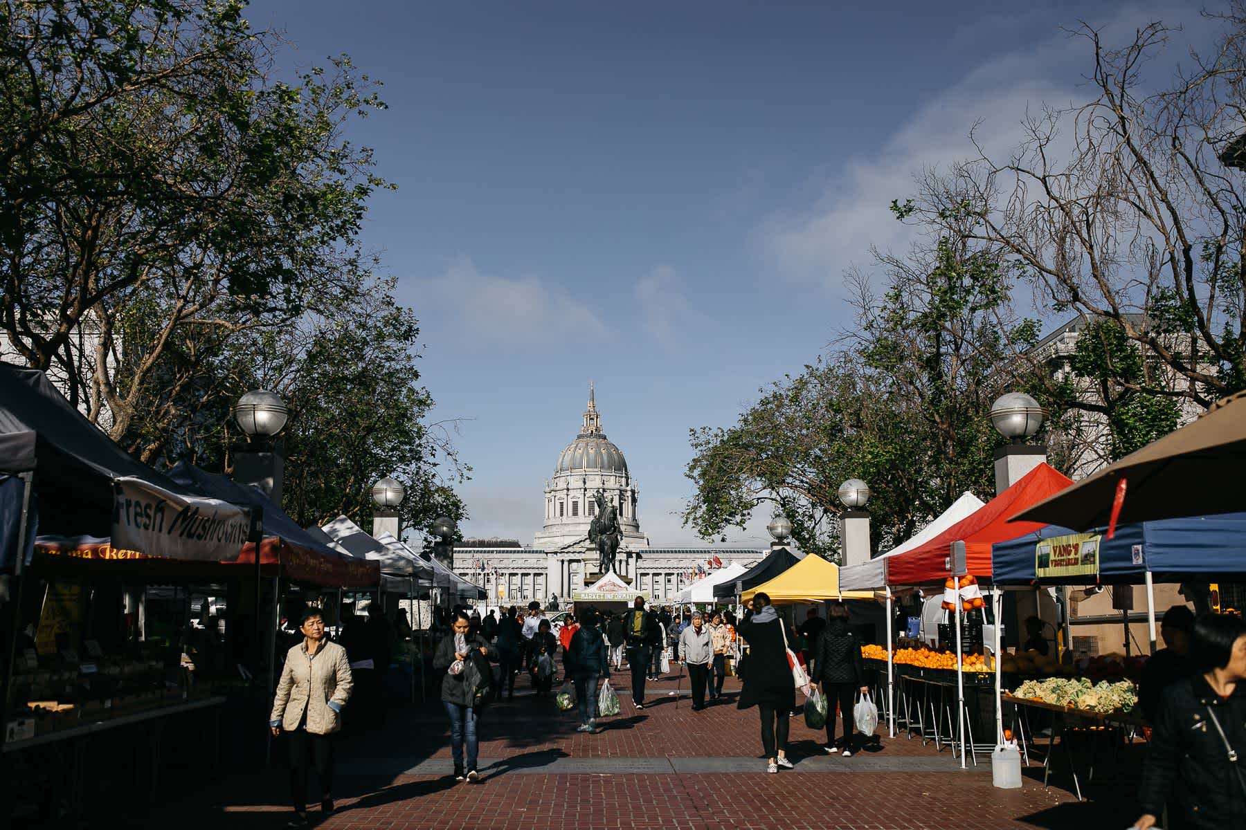 san-francisco-city-hall-bernal-heights-spring-elopement-1