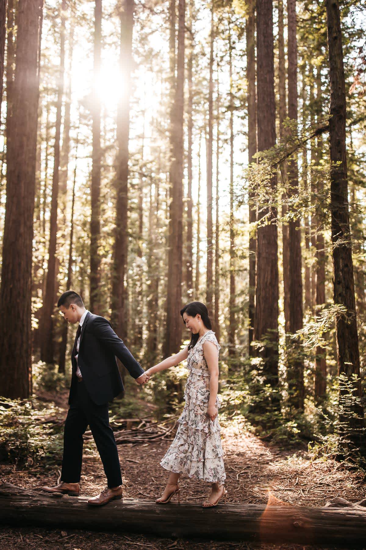 redwoods-coastal-pampas-grass-lifestyle-engagement-session-with-pups-5