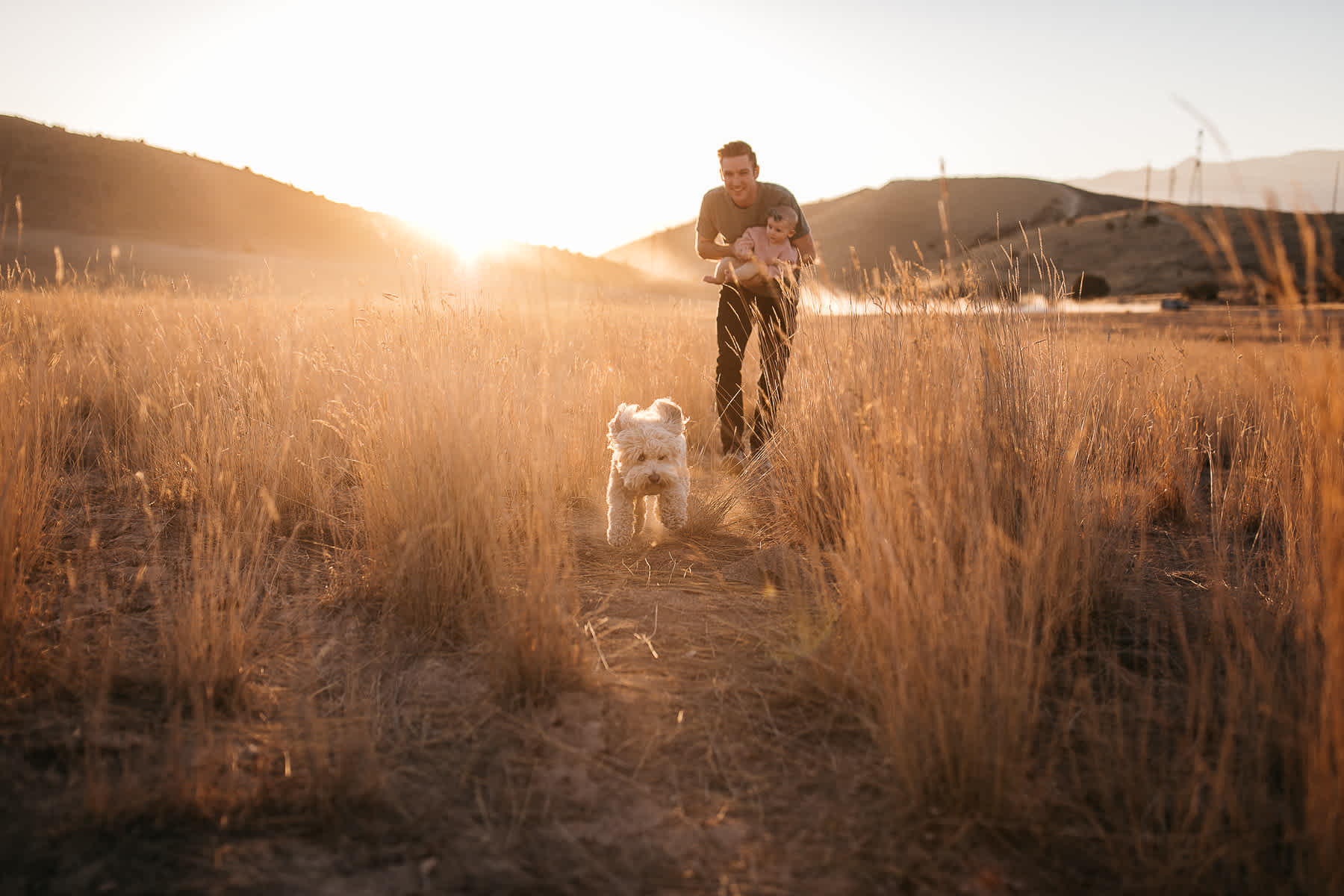 golden-hills-sunset-lifestyle-session-family-with-goldendoodle-29