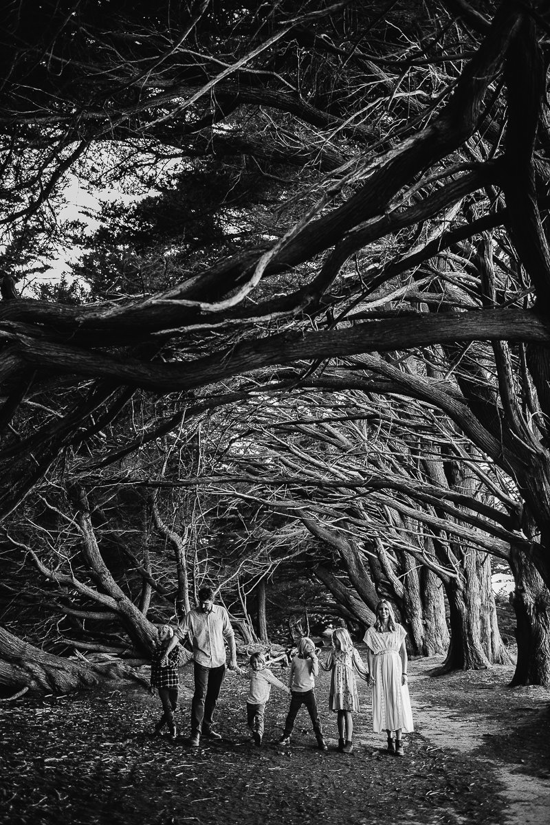 half-moon-bay-golden-cliffside-family-session-30