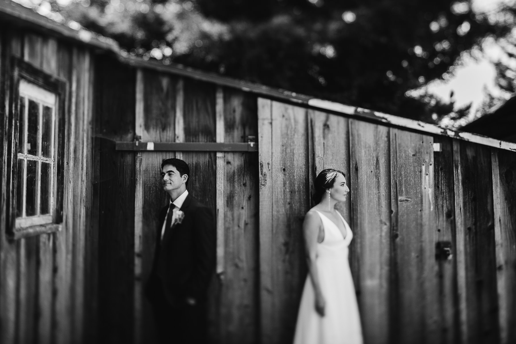 sebastopol-ca-summer-wedding-46