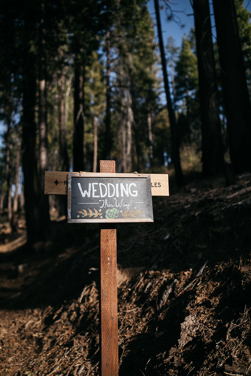 yosemite-rush-creek-fall-wedding-goldendoodle-27