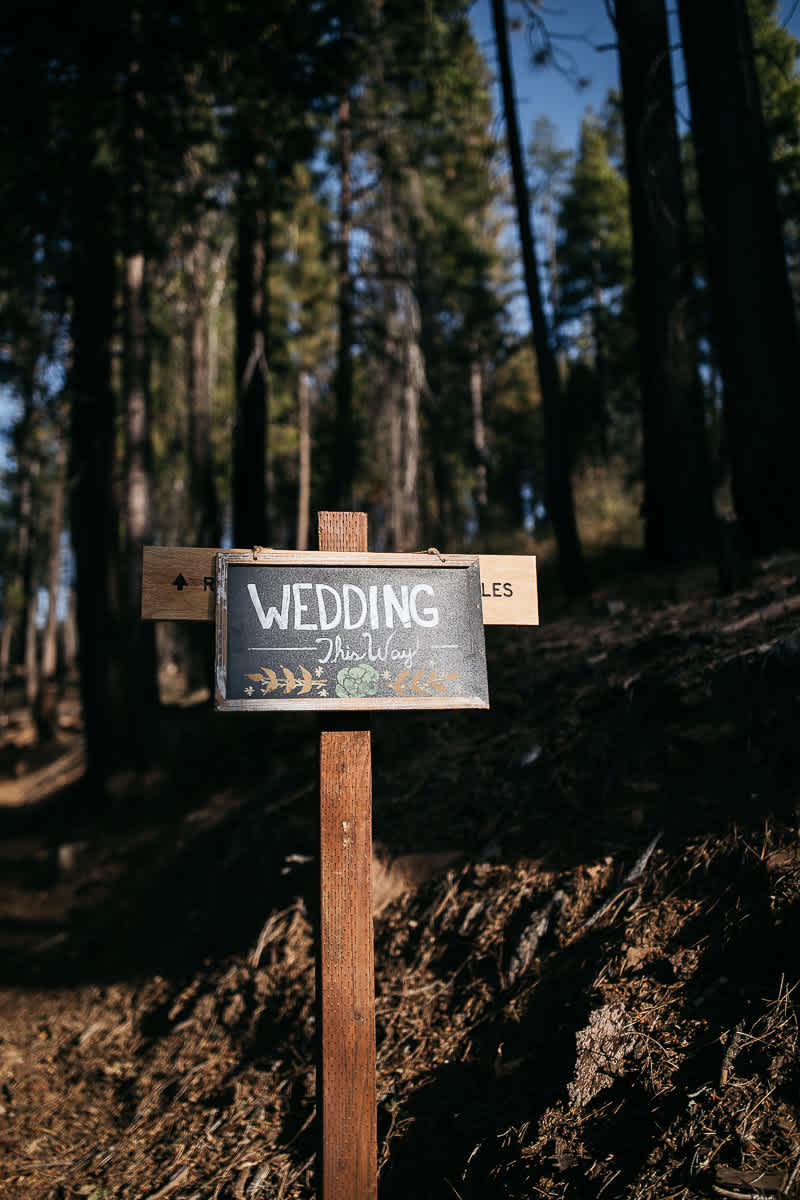 yosemite-rush-creek-fall-wedding-goldendoodle-27