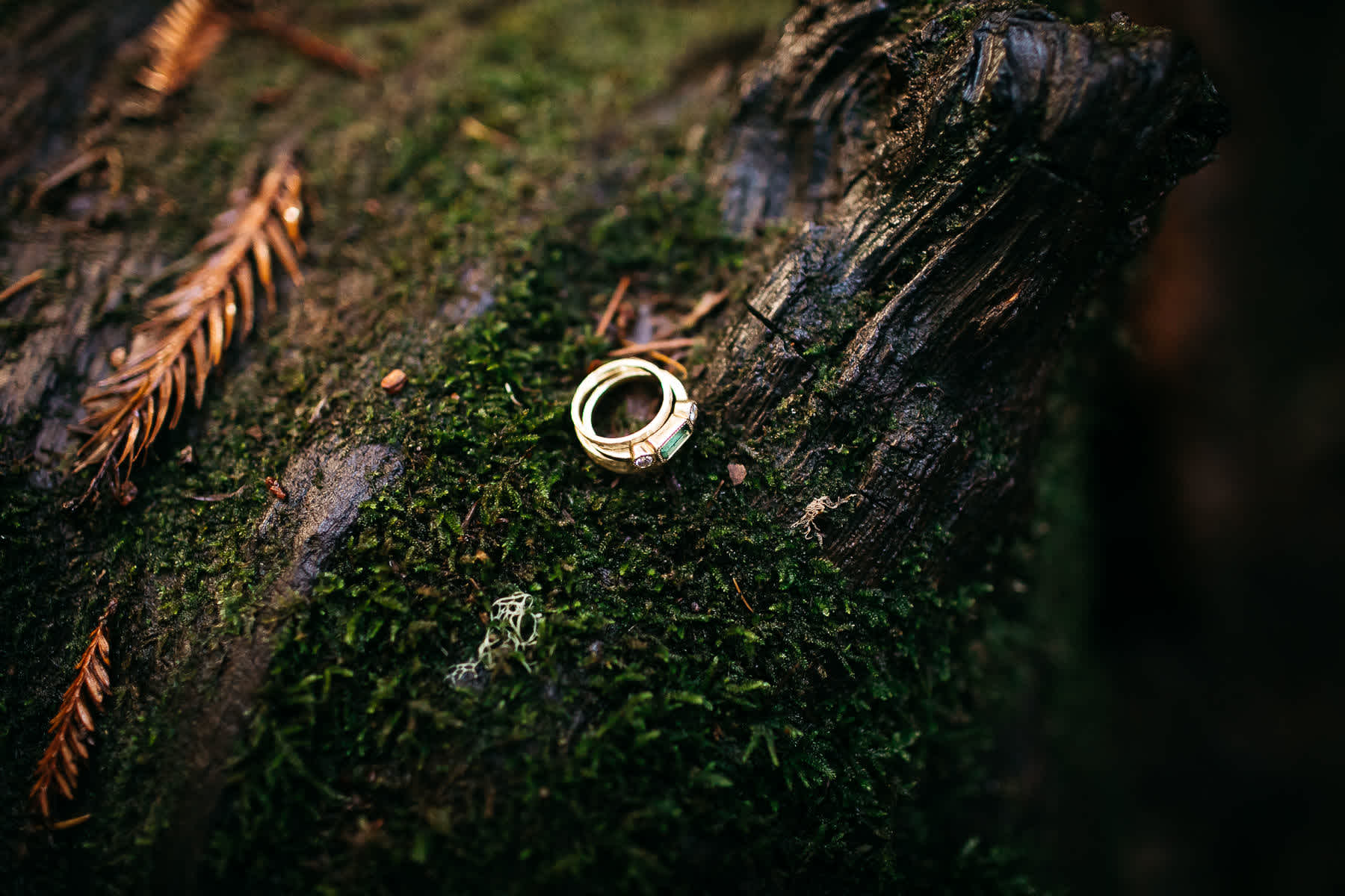 santa-cruz-redwoods-henry-cowell-rainy-elopement-photographer-64