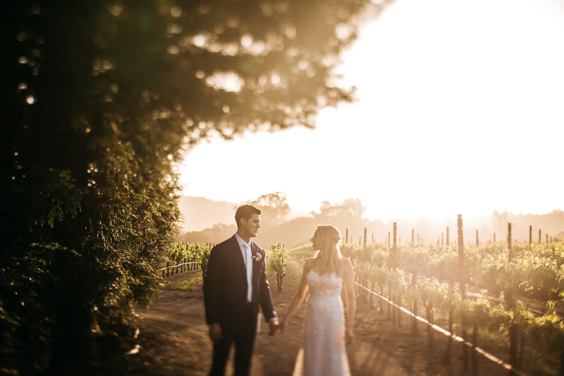 healdsburg-trentadue-winery-summer-wedding-70