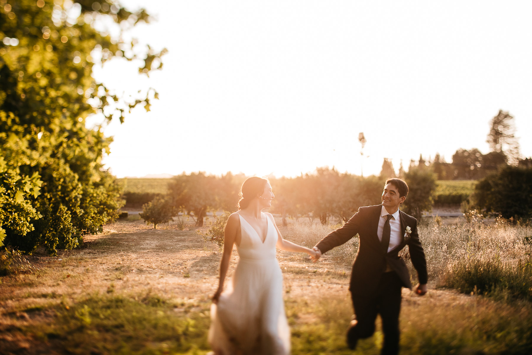 sebastopol-ca-summer-wedding-117