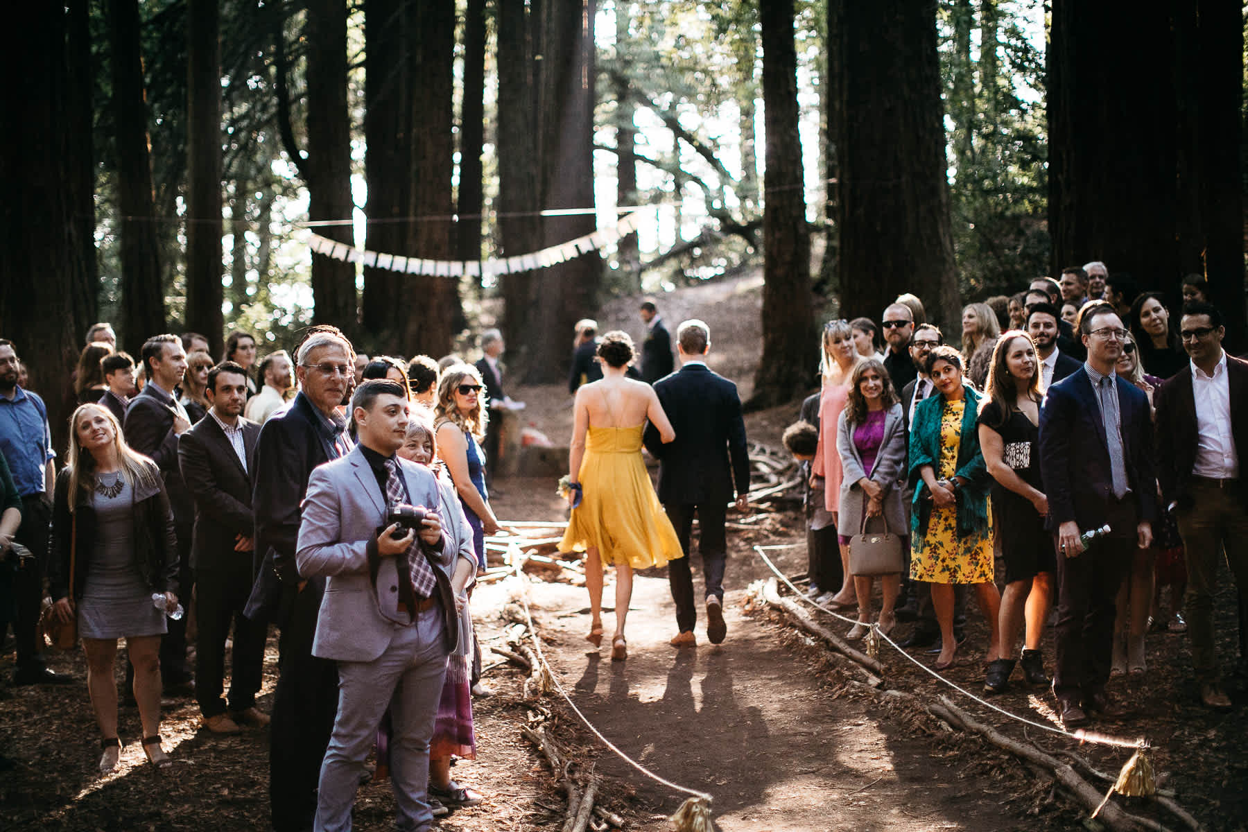 oakland-redwoods-summer-wedding-38
