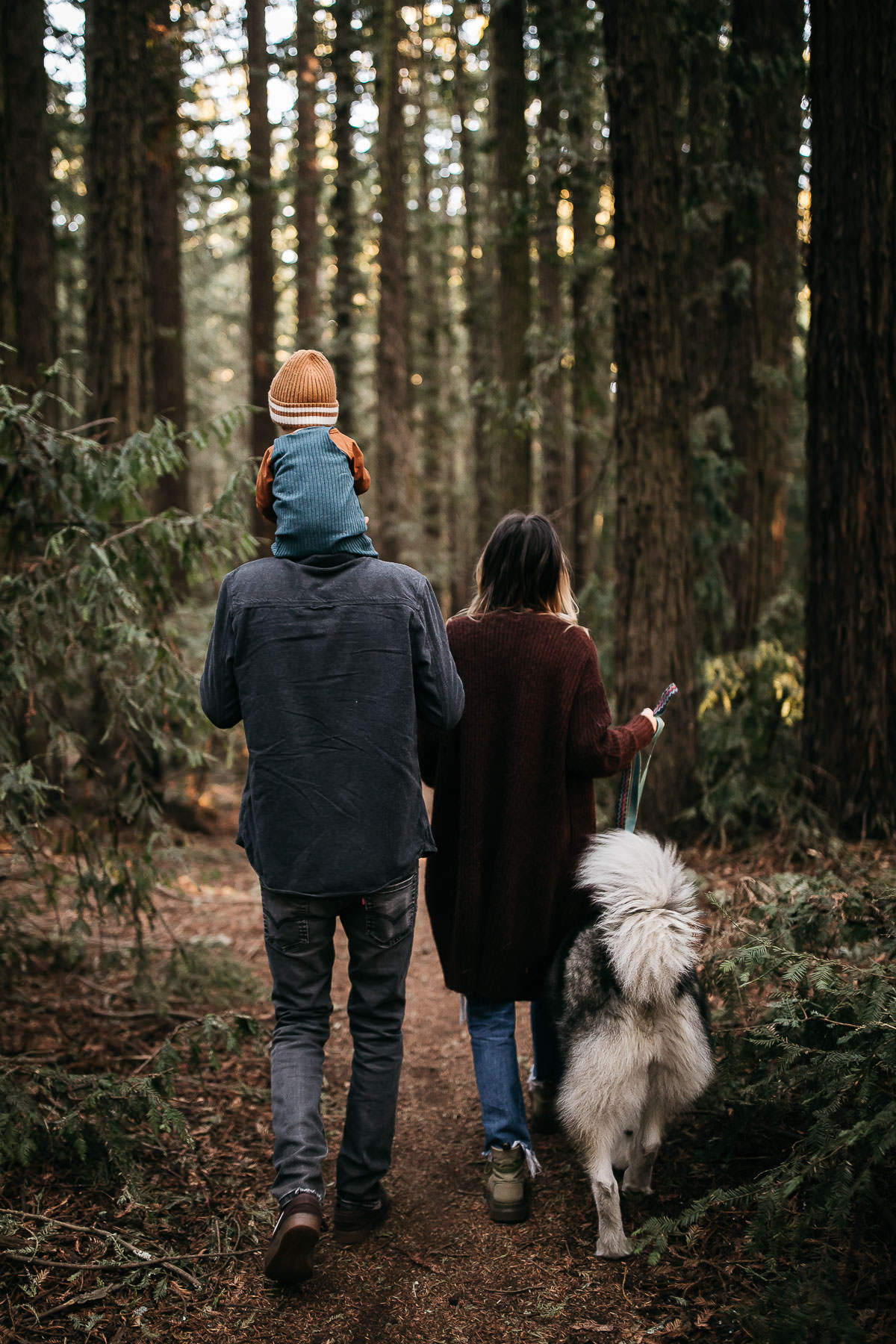 oakland-redwood-family-fall-session-joaquin-miller-park-35
