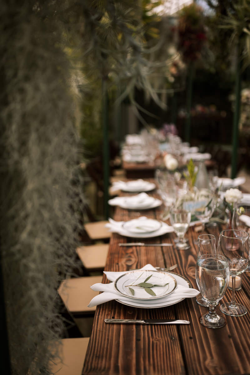 Pacifica-shelldance-orchid-gardens-summer-wedding-123