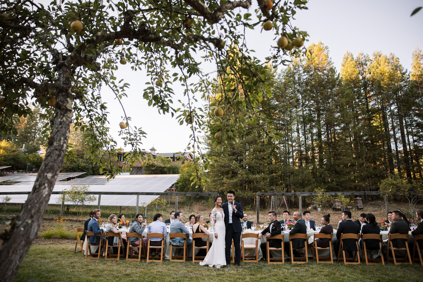 Stavrand-Russian-River-intimate-fall-wedding-98