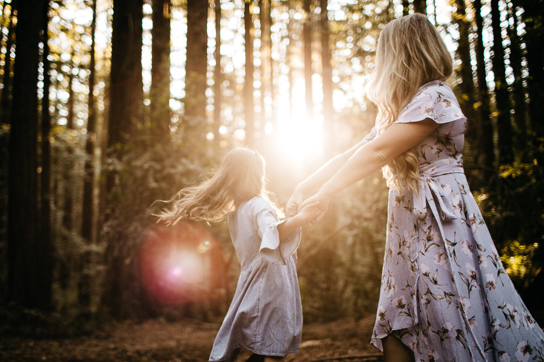 oakland-redwoods-morning-light-joaquin-miller-park-lifestyle-session-14