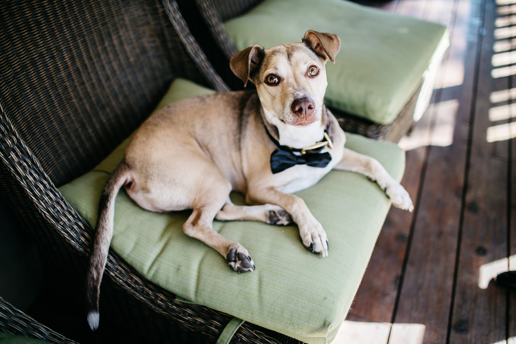 vacaville-ca-summer-hillside-wedding-9