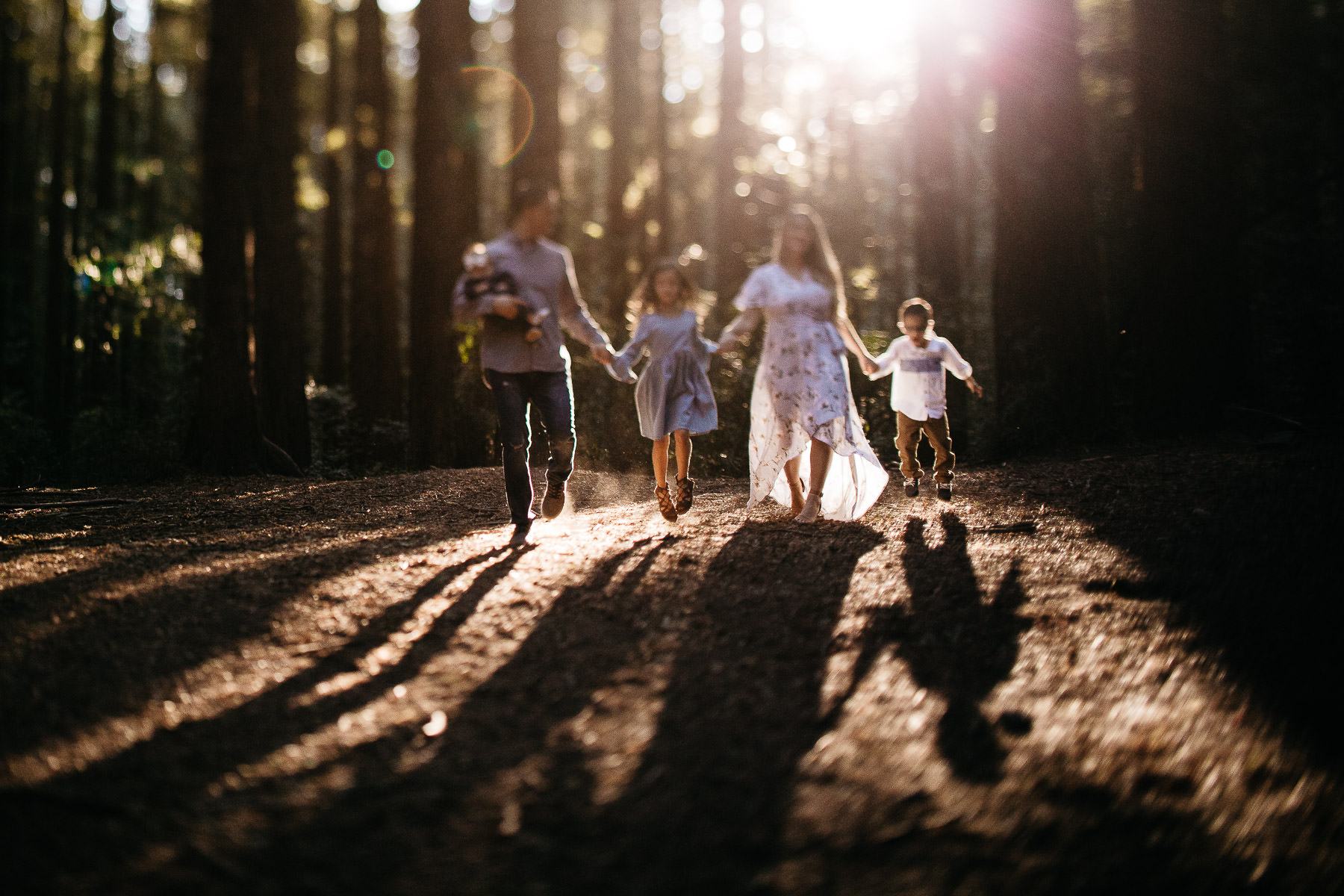 oakland-redwoods-morning-light-joaquin-miller-park-lifestyle-session-21