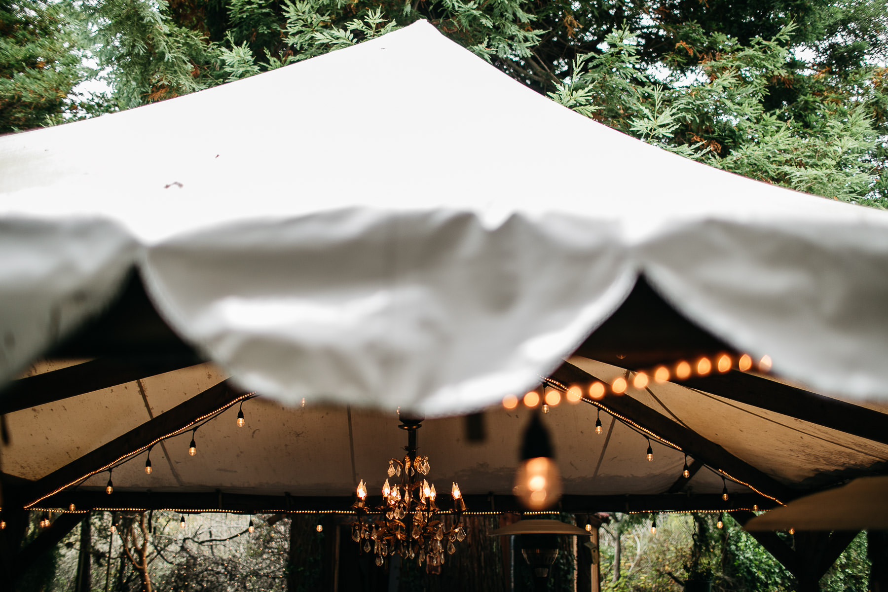 bodega-bay-secret-garden-gloomy-fall-wedding-120