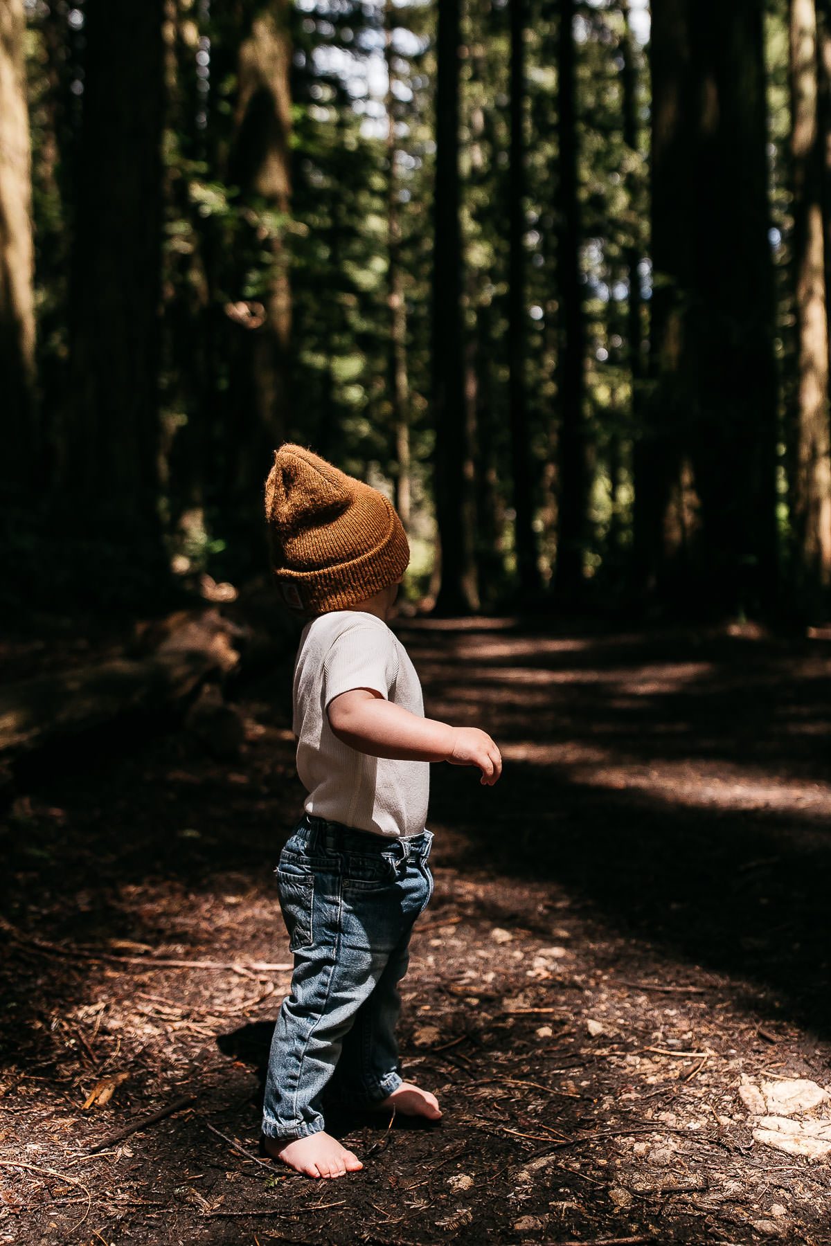 oakland-redwood-family-session-spring-one-year-old-17