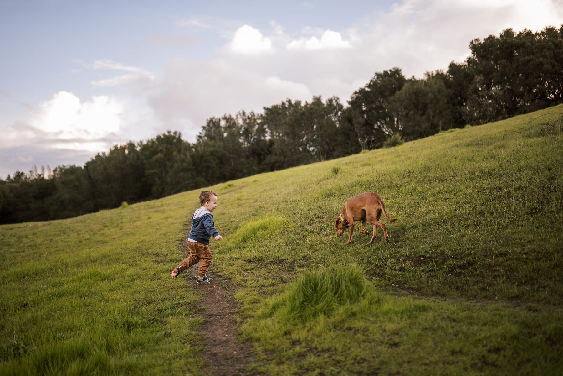 oakland-green-hills-winter-family-lifestyle-session-1