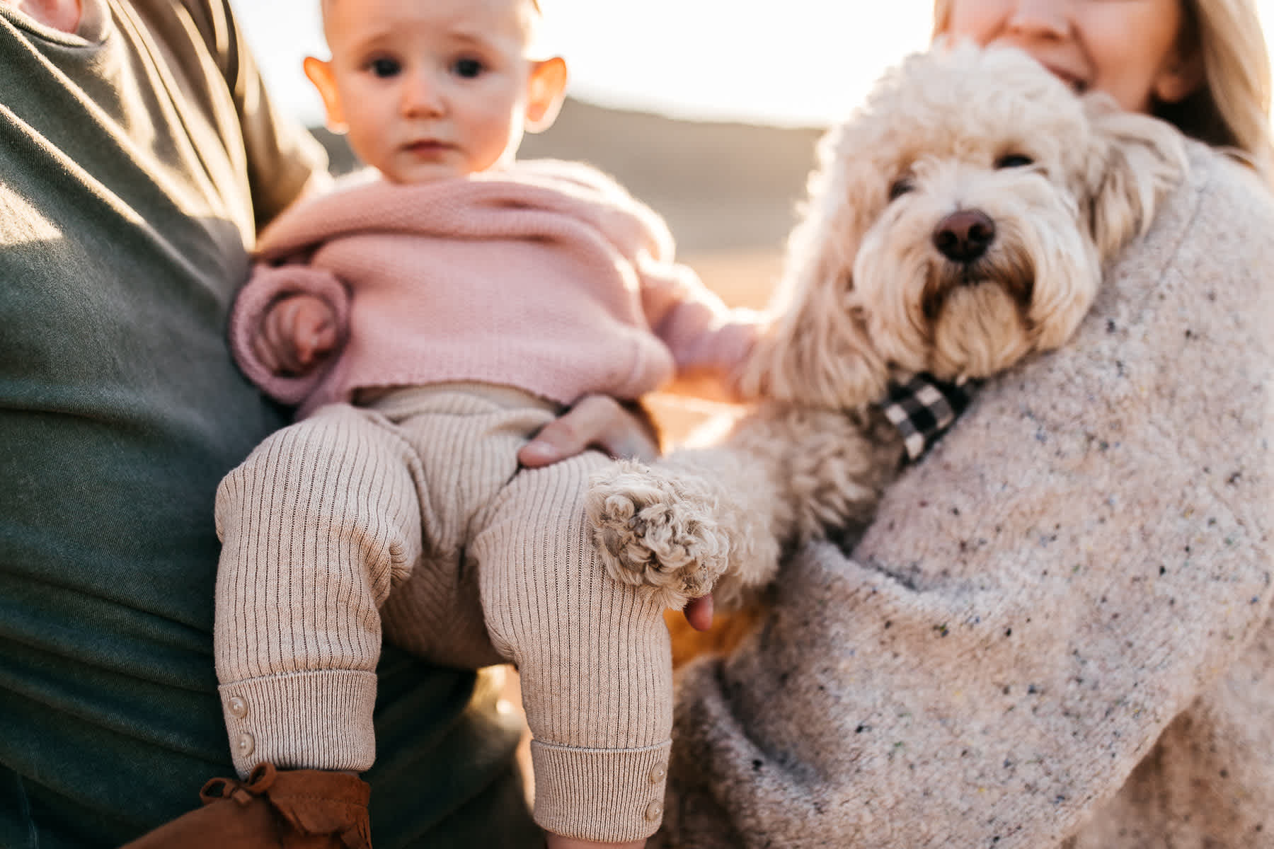 golden-hills-sunset-lifestyle-session-family-with-goldendoodle-25