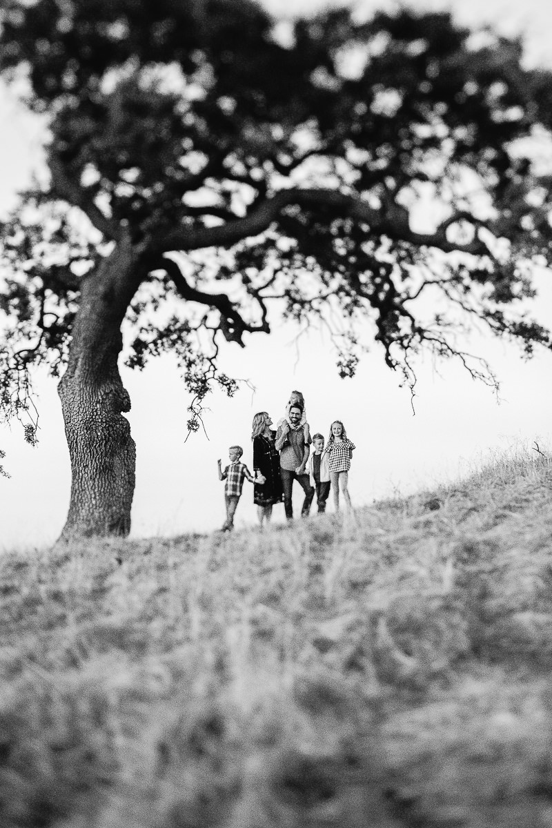 concord-golden-hill-california-fall-lifestyle-session-30