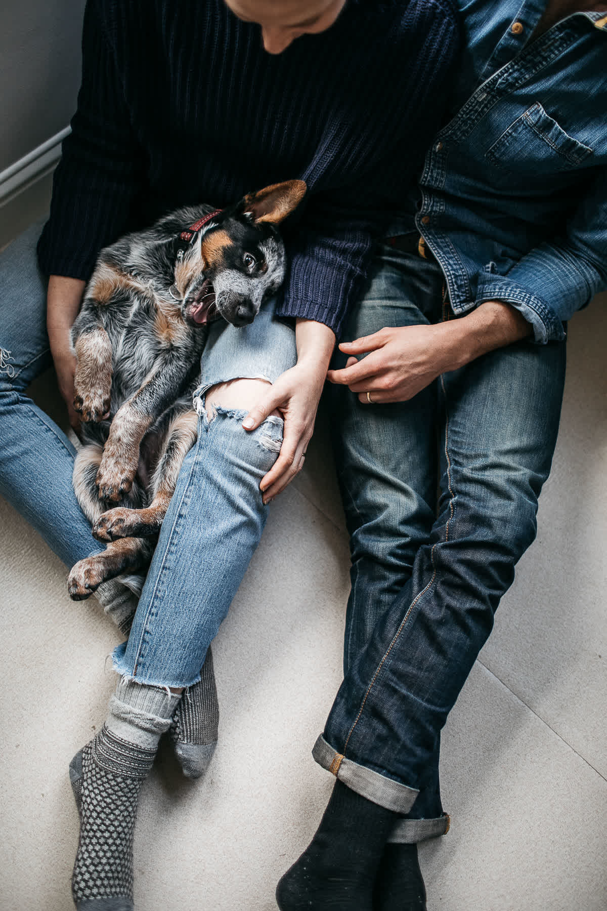 richmond-ca-family-session-cattledog-neighborhood-35