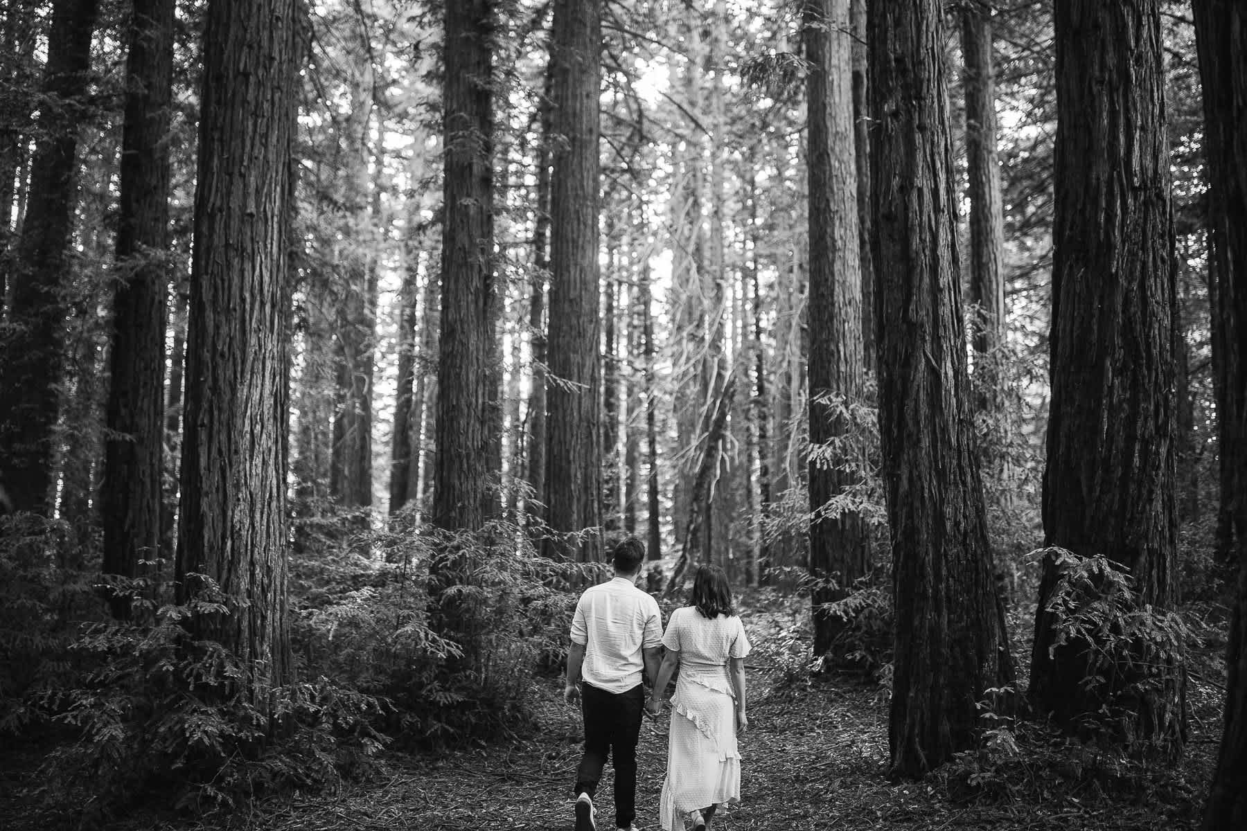 oakland-redwoods-fall-golden-light-engagement-session-8