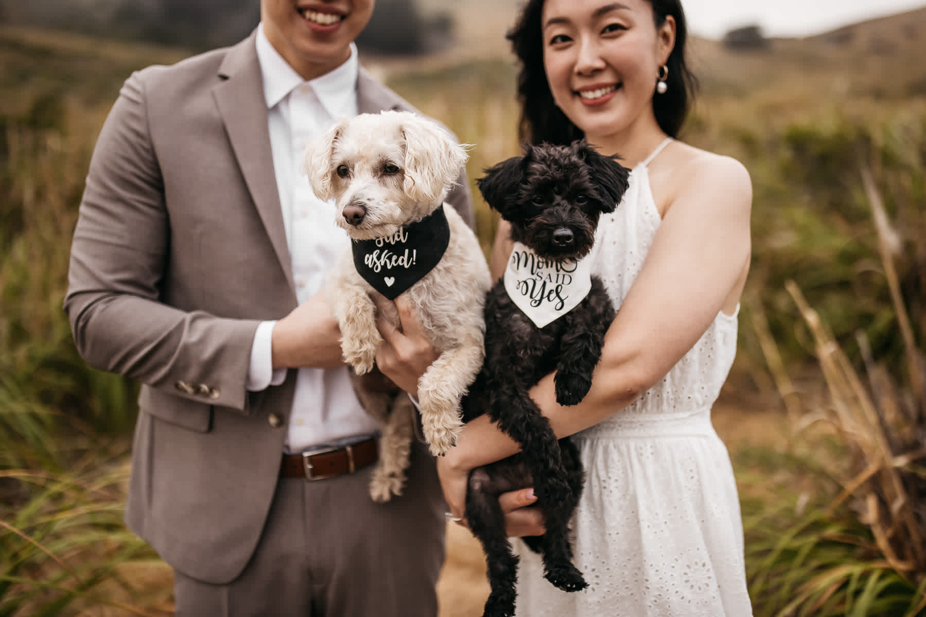 redwoods-coastal-pampas-grass-lifestyle-engagement-session-with-pups-22