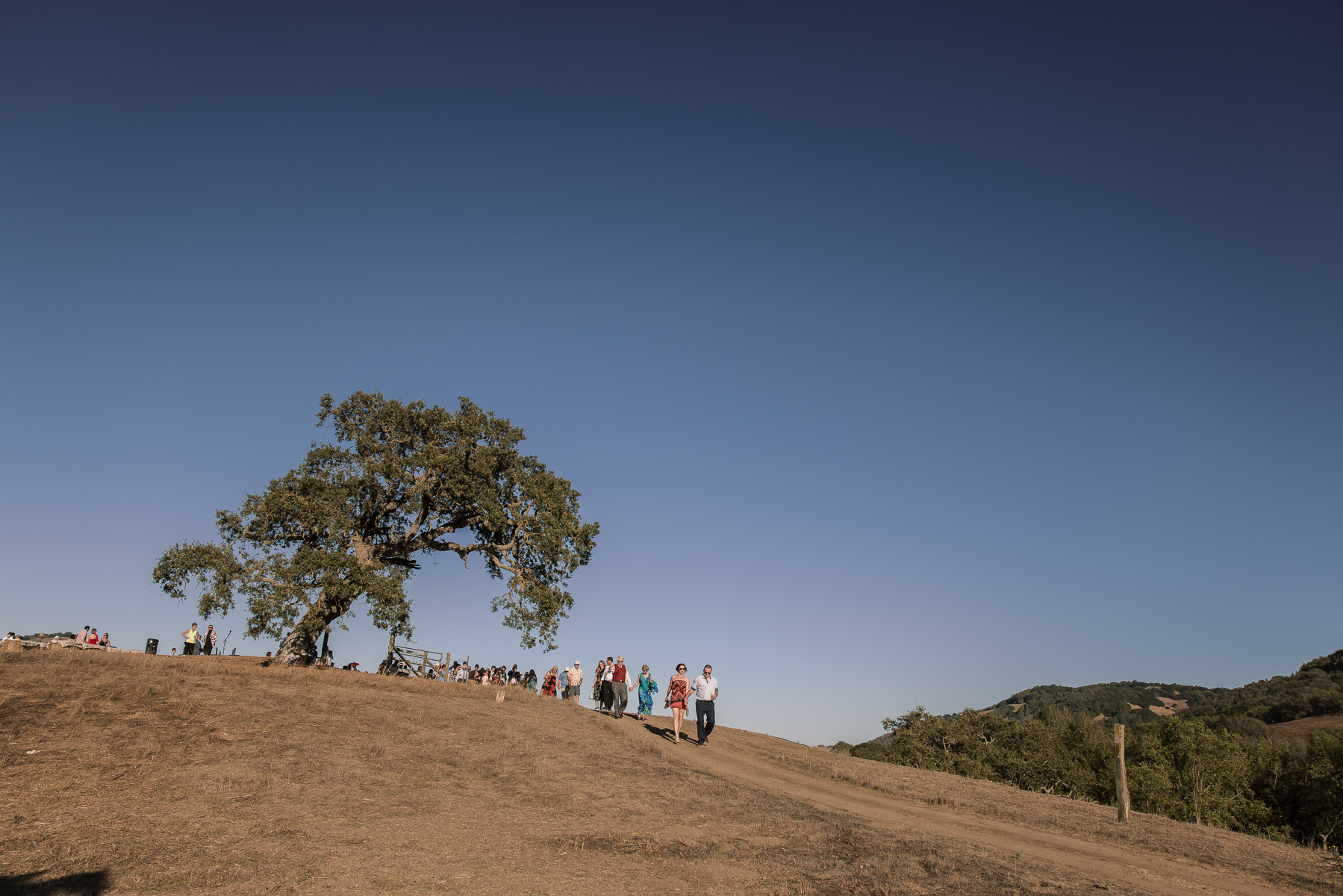 Monkey-ranch-petaluma-golden-hills-wedding-81