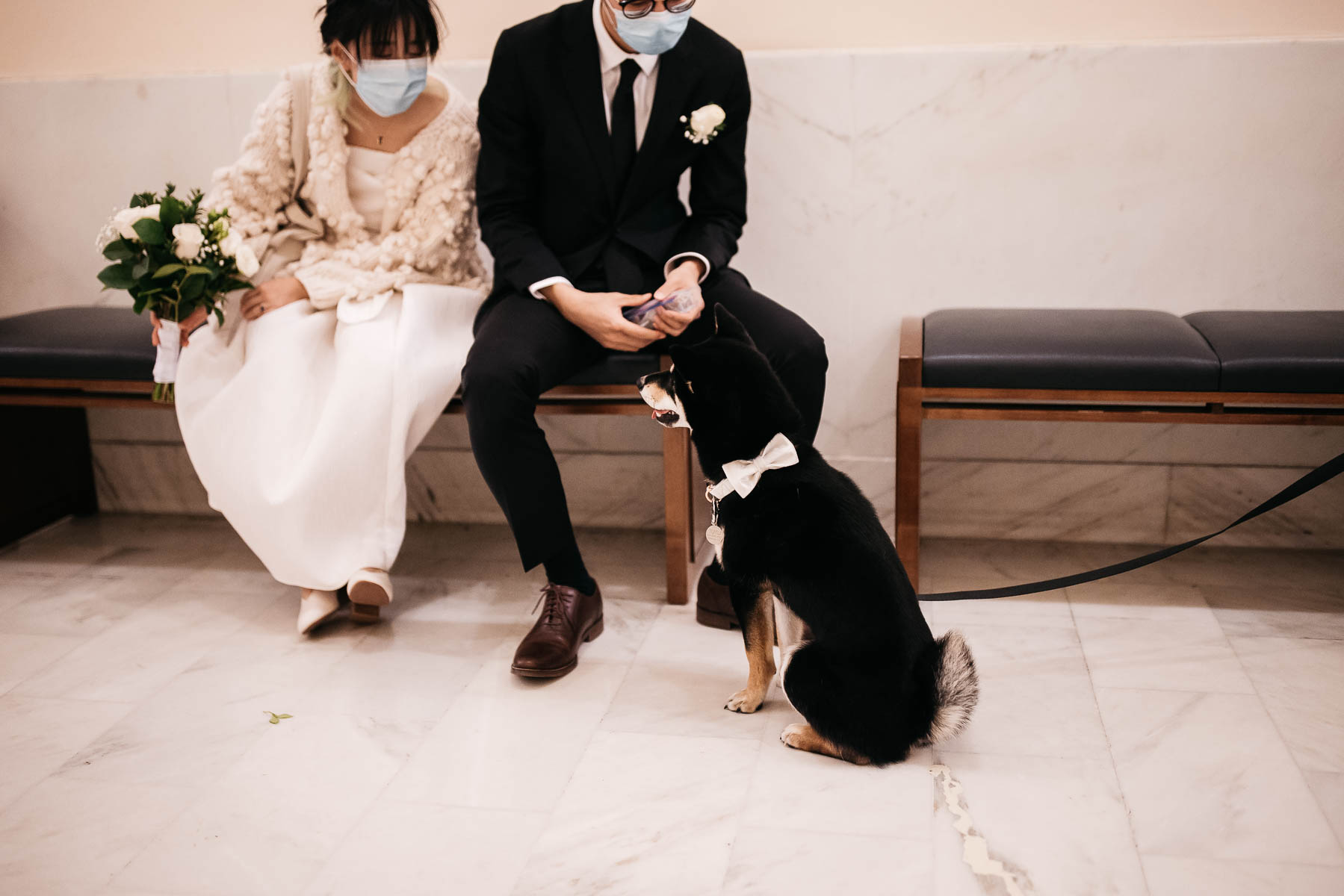 sf-city-hall-redwoods-elopement-shiba-8