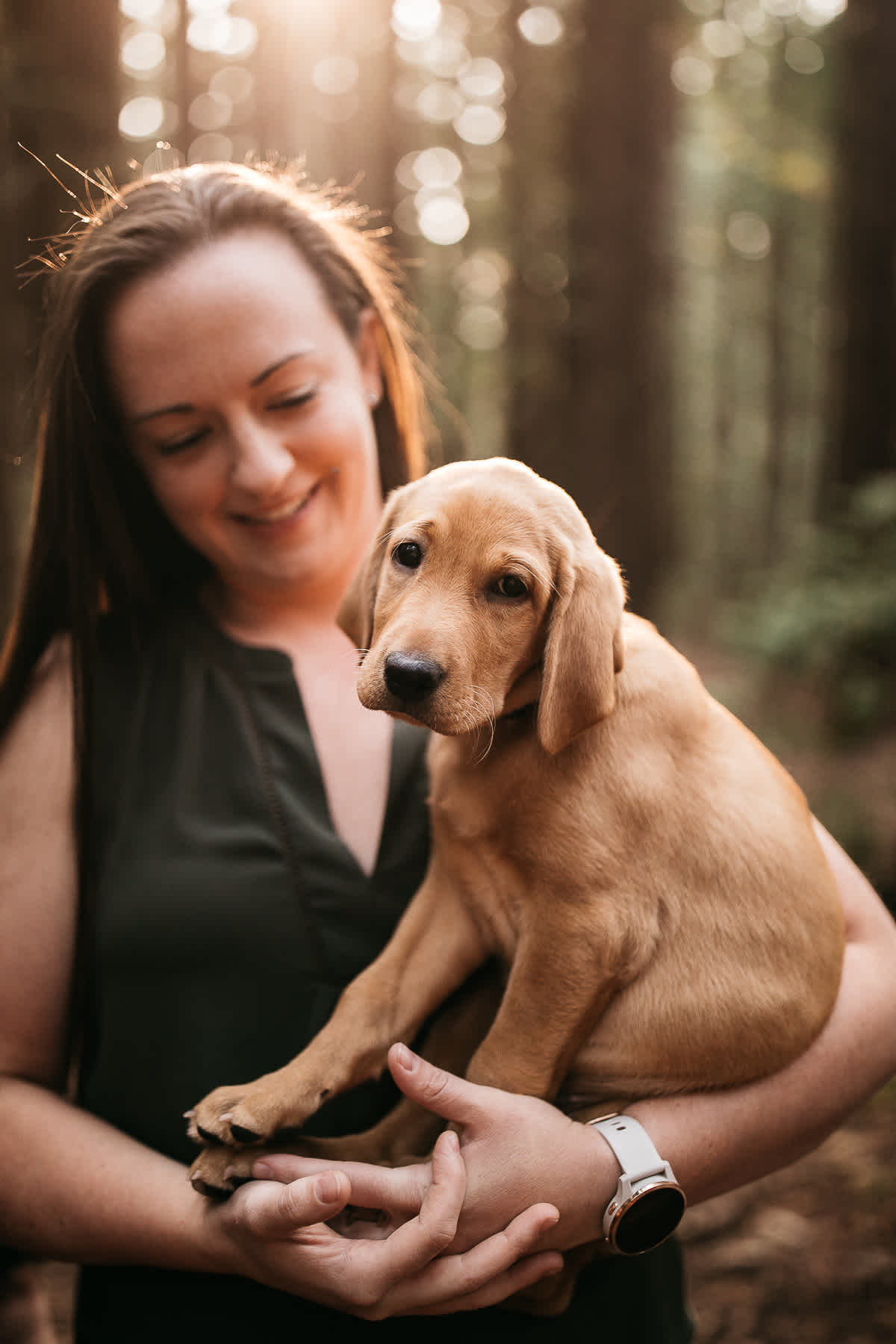 oakland-redwoods-new-puppy-session-labrador-3