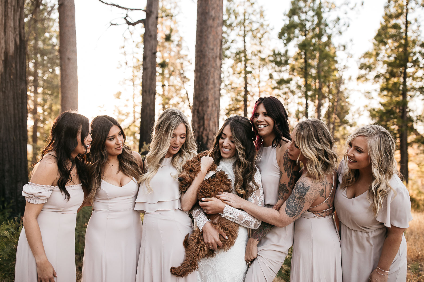 yosemite-rush-creek-fall-wedding-goldendoodle-62