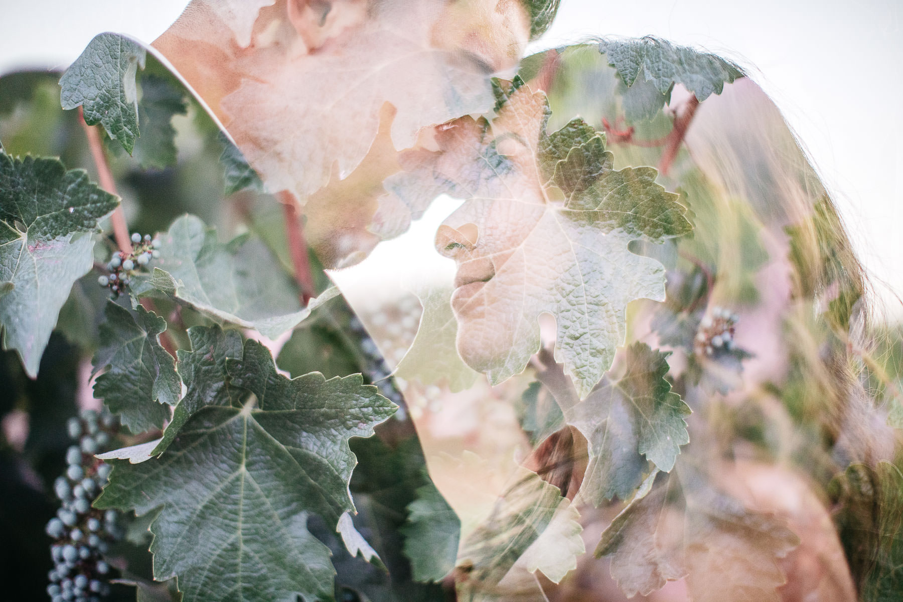 san-francisco-bay-gilroy-clos-la-chance-wedding-111