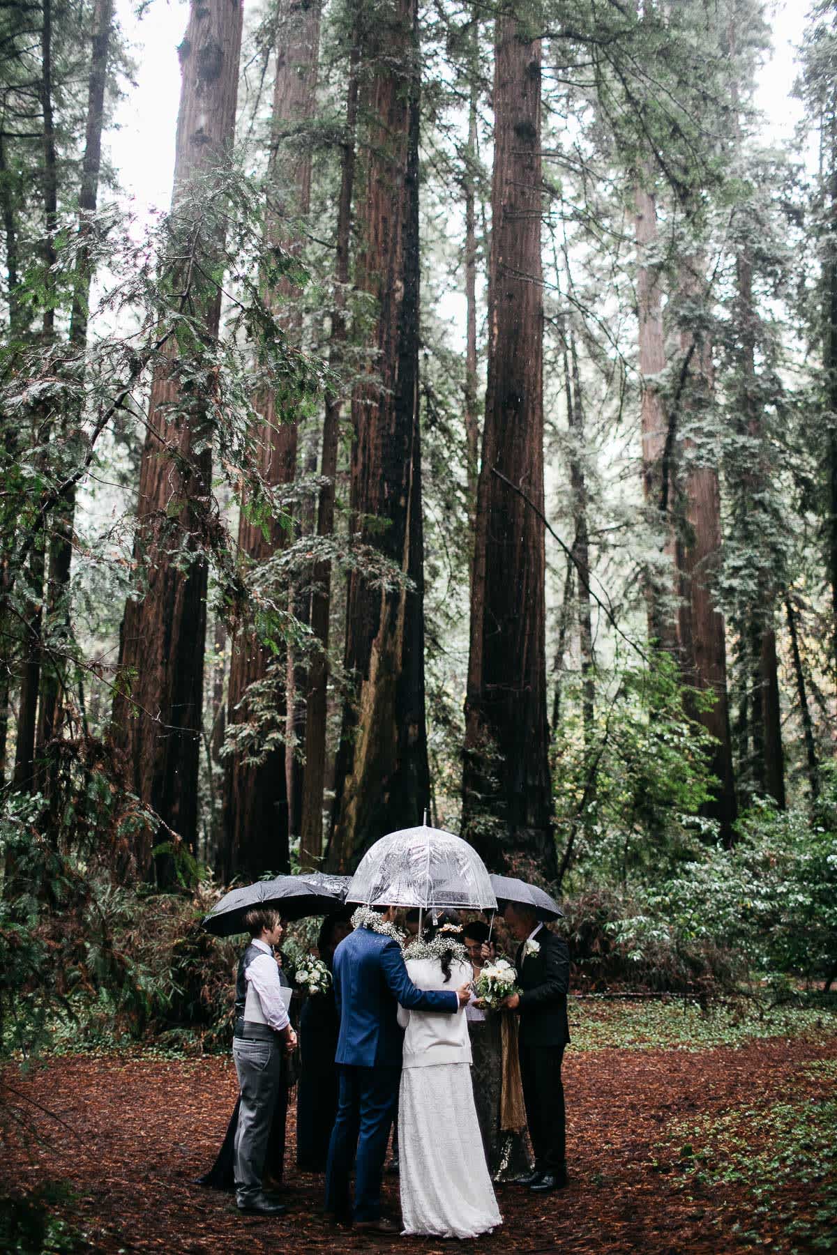santa-cruz-redwoods-henry-cowell-rainy-elopement-photographer-23
