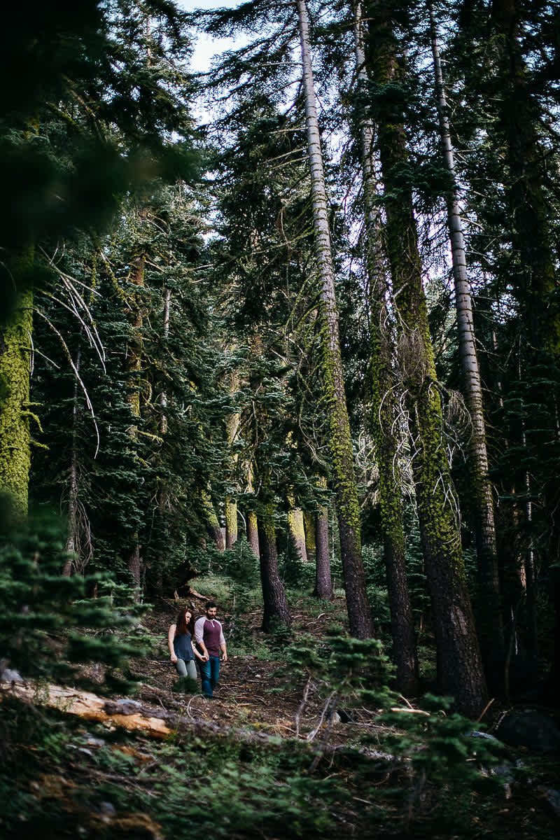 lake-tahoe-forest-donner-sunset-couple-session-9