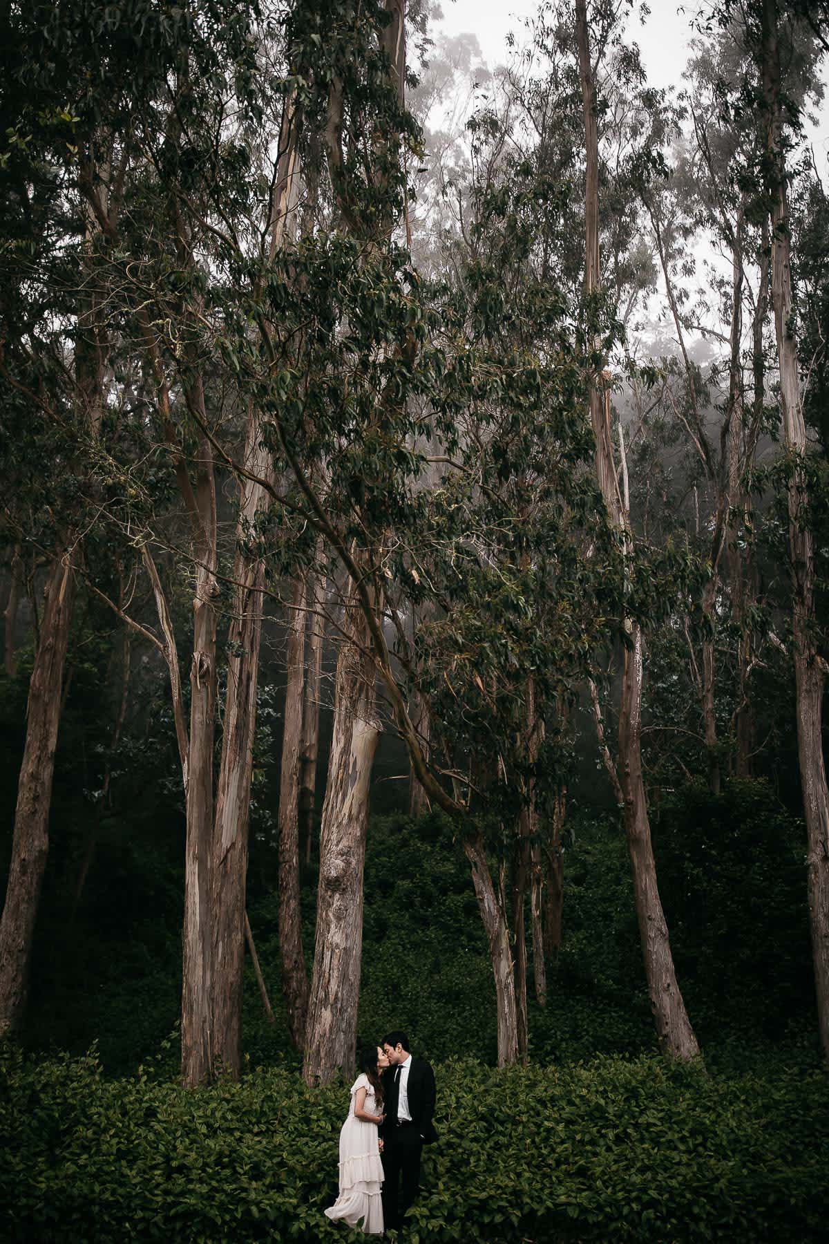 foggy-san-francisco-city-hall-elopement-mt-davidson-summer-59