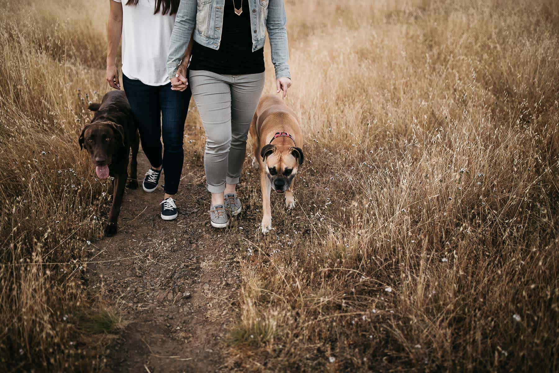 mt-tam-sunset-engagement-session-with-boxer-lab-dogs-21