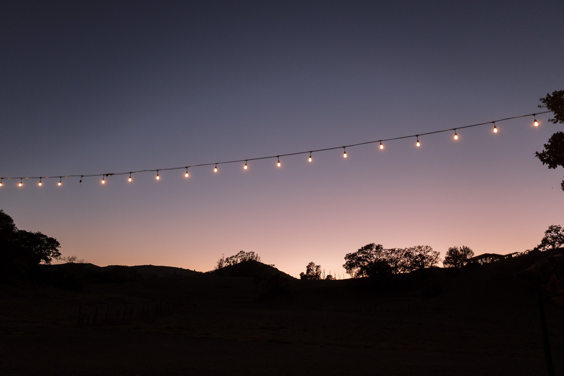 Monkey-ranch-petaluma-golden-hills-wedding-131