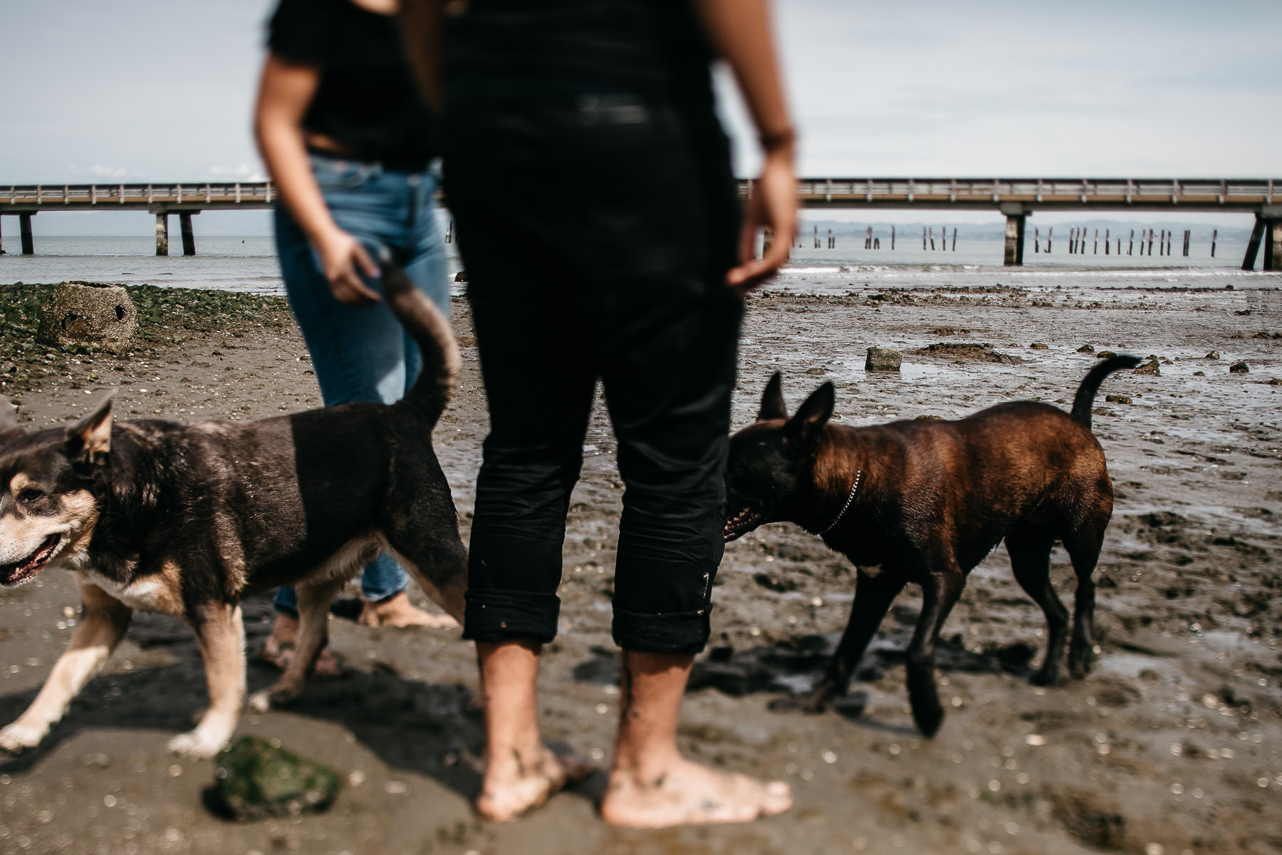 point-pinole-shoreline-couple-rocky-coastal-session-35