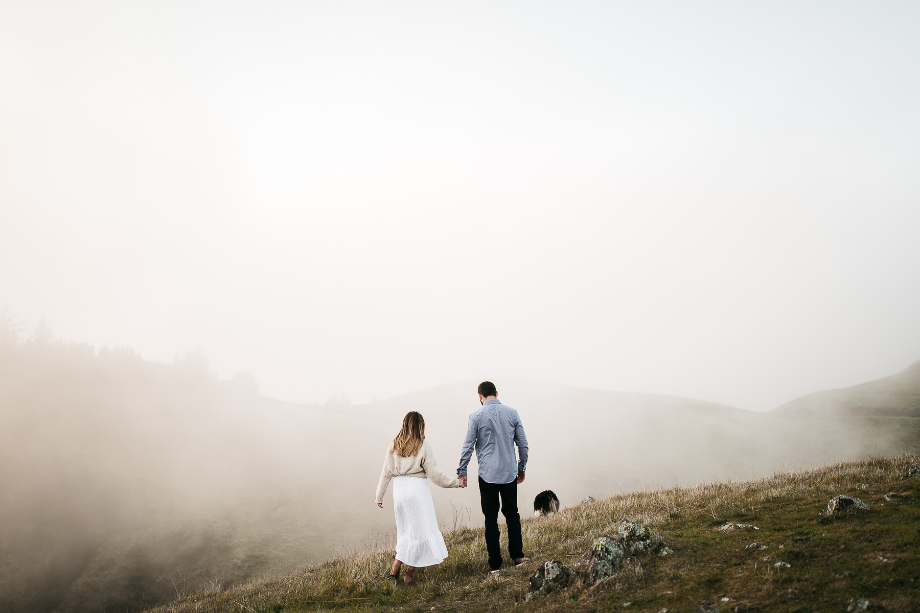 mt-tam-foggy-winter-engagement-session-australian-shepherd-puppy-35