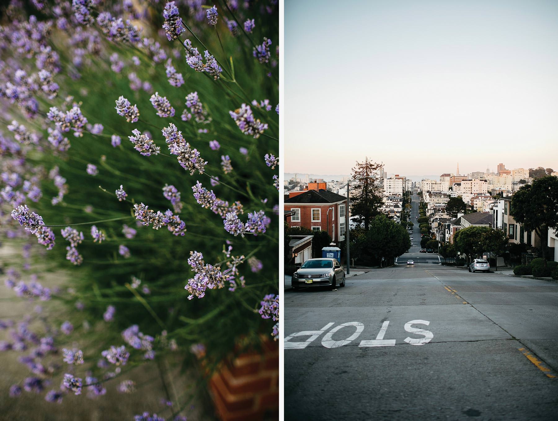 san-francisco-views-florals-ca