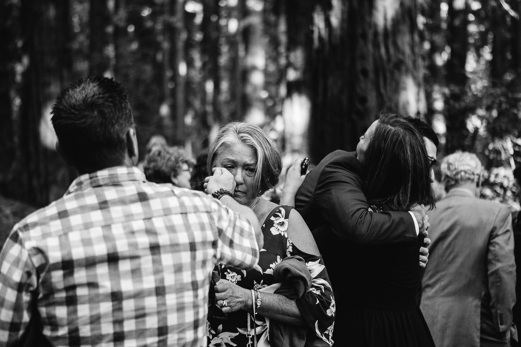 oakland-redwoods-summer-wedding-67