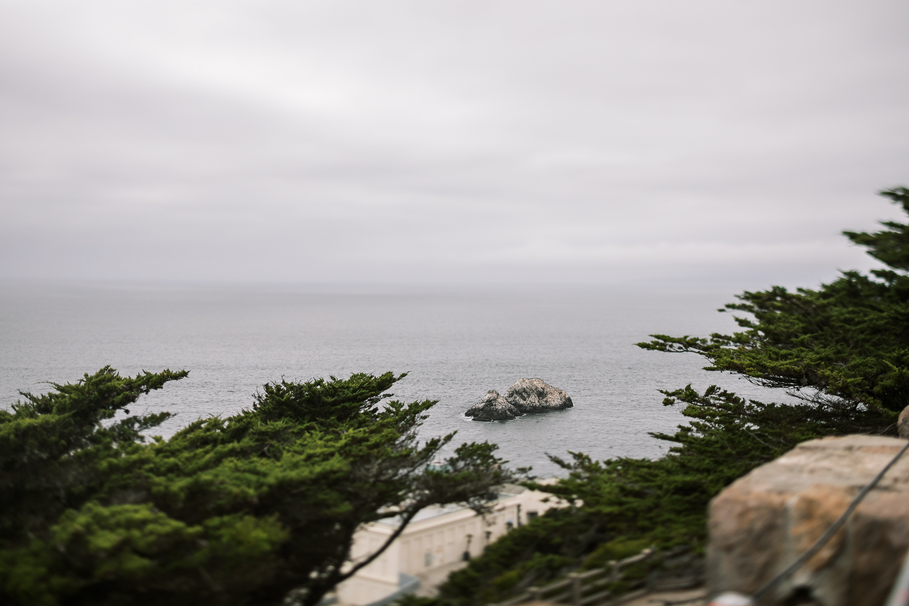 san-francisco-presidio-urban-wedding-trolley-ride-79