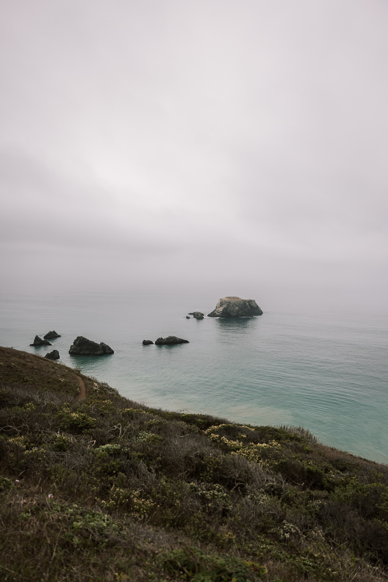 mendocino-coastal-intimate-wedding-day-81