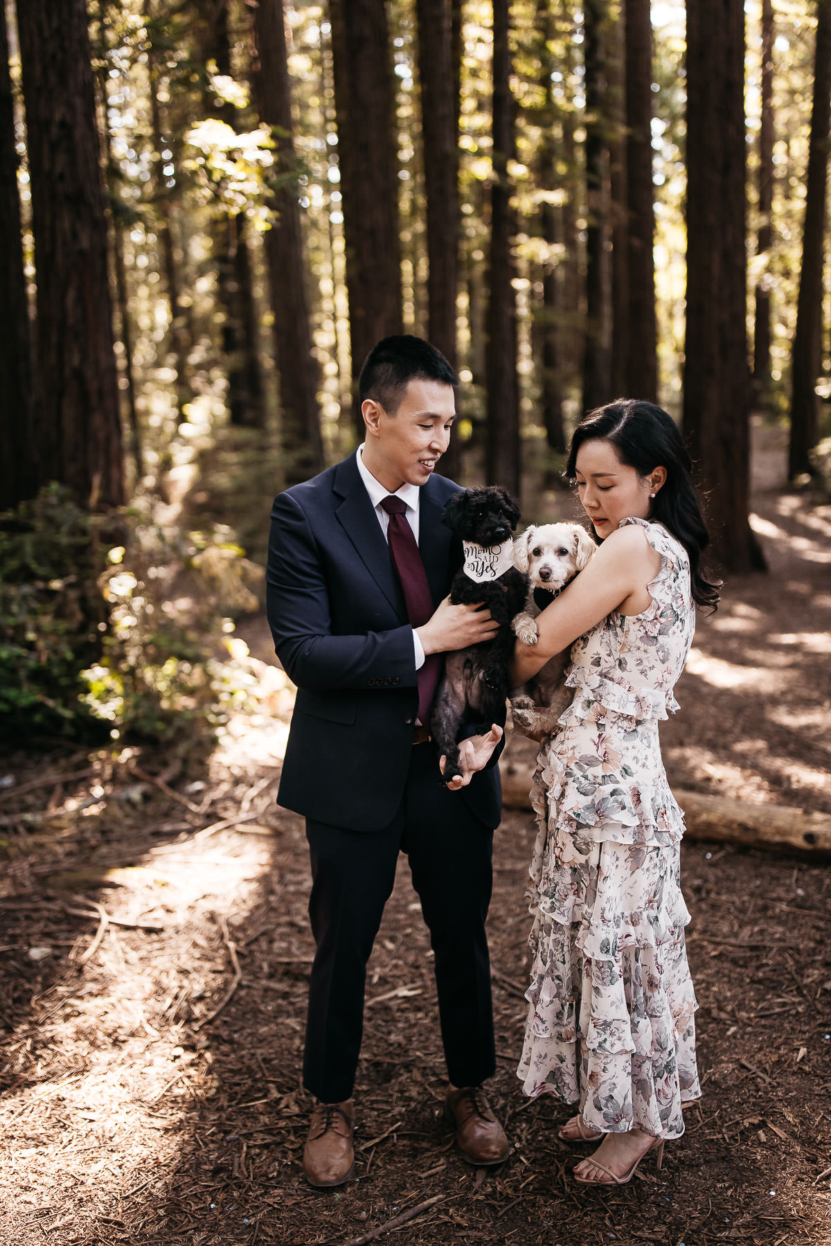 redwoods-coastal-pampas-grass-lifestyle-engagement-session-with-pups-2