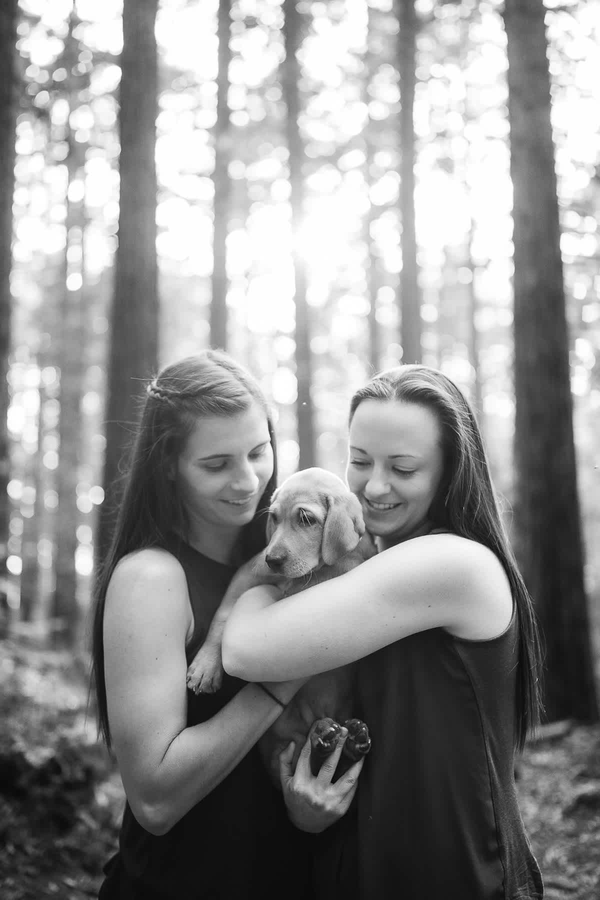 oakland-redwoods-new-puppy-session-labrador-8