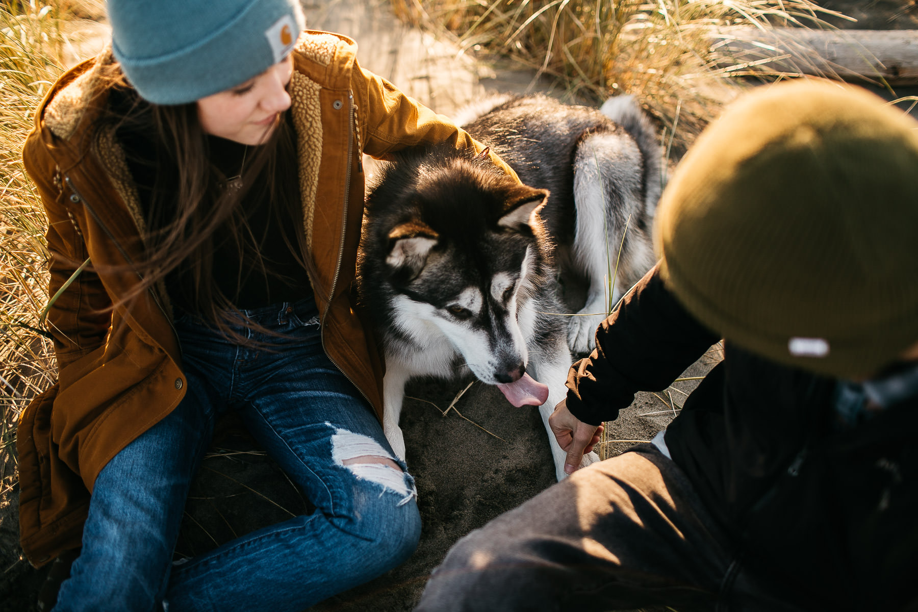 ocean-beach-sf-malamute-couple-session-golden-light-5